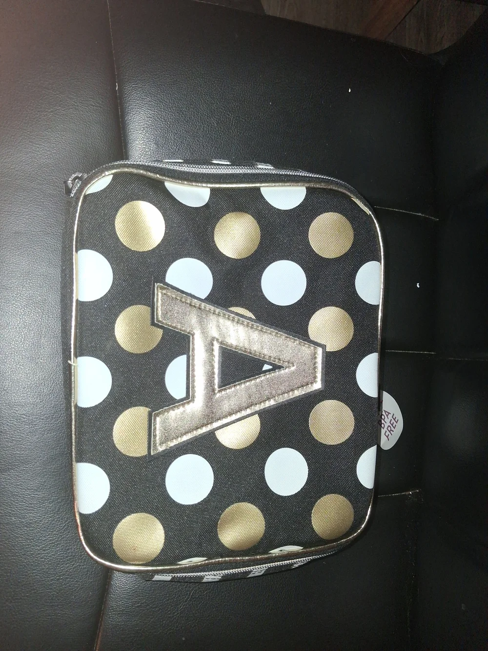 Justice Black and Silver Striped Insulated Travel Case